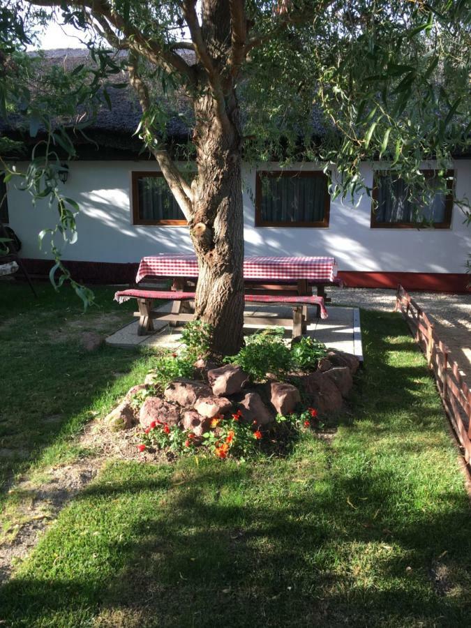 Balatonkenesei Nadfedeles Lovas Vendeghaz Villa Eksteriør billede